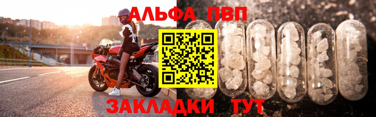 Альфа ПВП СК КРИС  Вход с VPN  APVP Соль  Коряжма 