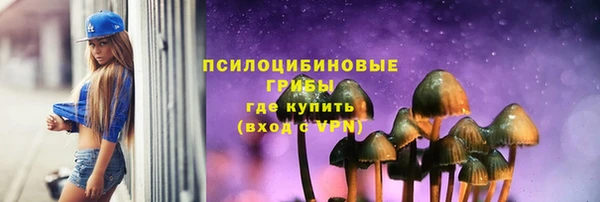 мяу мяу мука Няндома