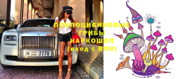 дживик Нязепетровск