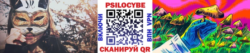 omg ссылка  Коряжма  Галлюциногенные грибы Psilocybe 