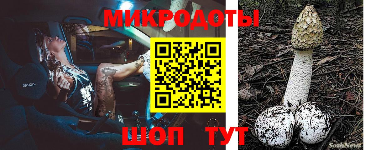 Псилоцибиновые грибы мицелий Коряжма
