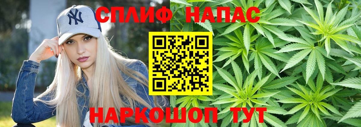 МАРИХУАНА сатива Коряжма
